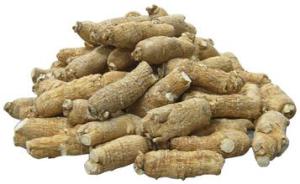 American Ginseng Extract